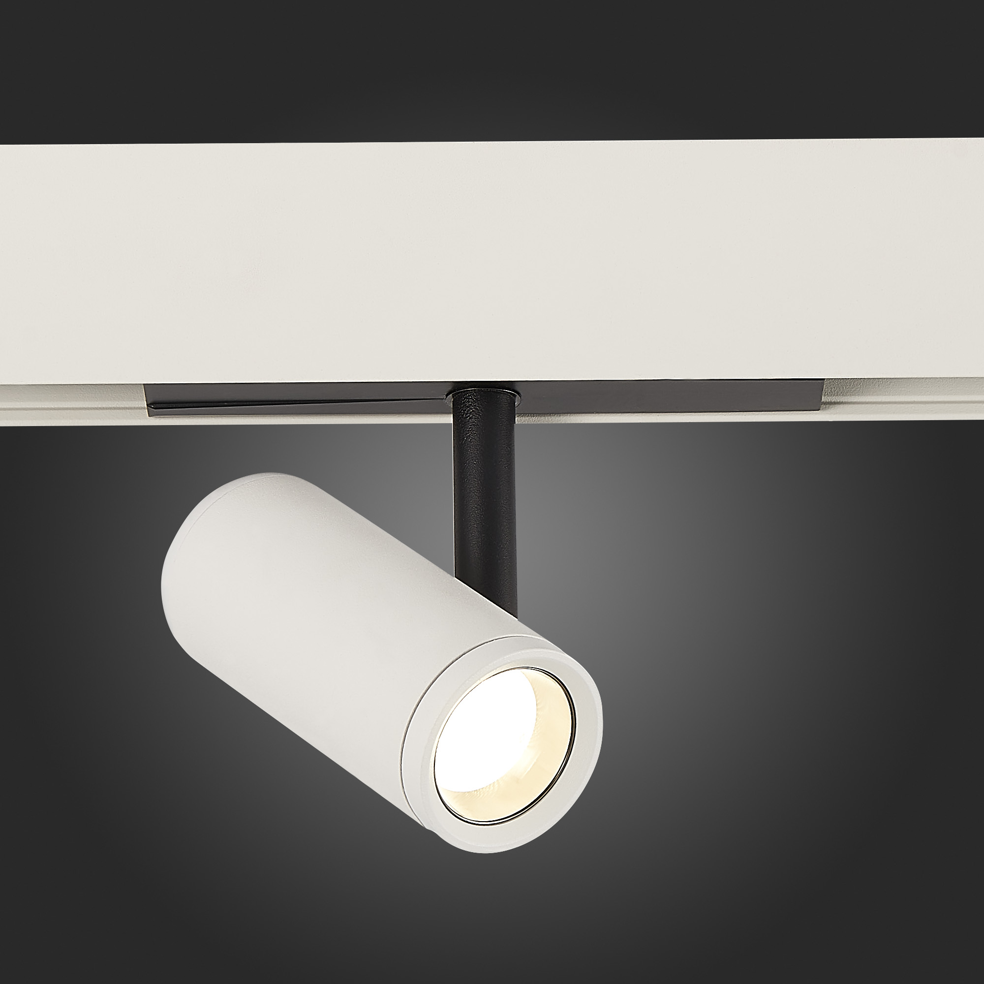 ST808.546.08 Магнитный трековый светильник Белый, Черный LED 1*8W 4000K 650Lm Ra>90 36° IP20 D42xH13 SKYLINE 48
