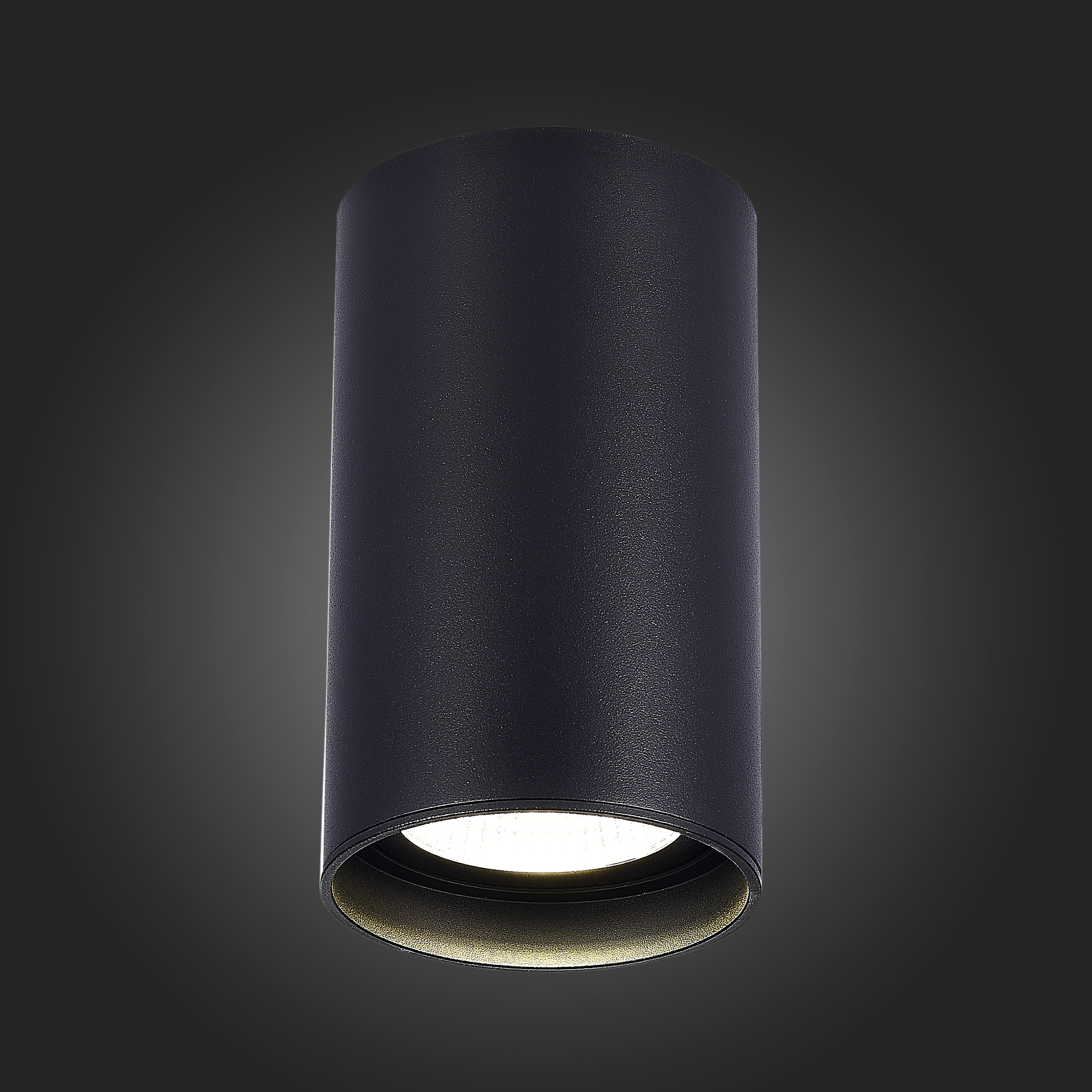 ST157.432.20 Светильник потолочный Черный LED 1*20W 3000K 1 600Lm Ra>90 60° IP44 D95xH150 220-265V Накладные светильники