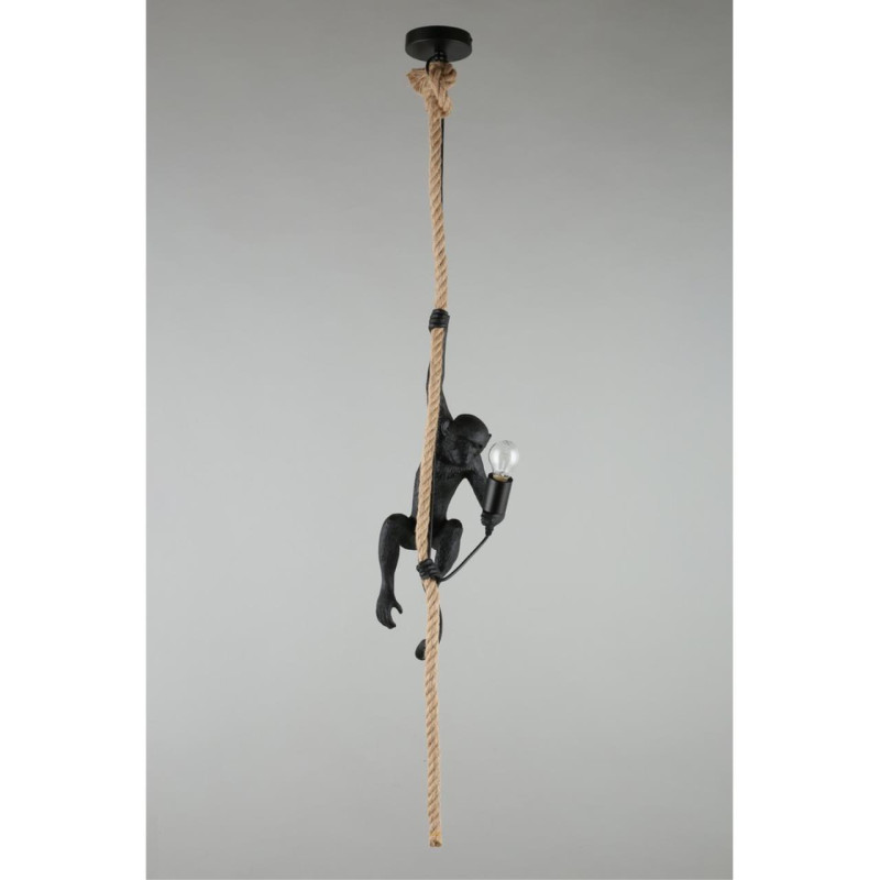 Потолочный детский светильник APLOYT APL.309.16.01