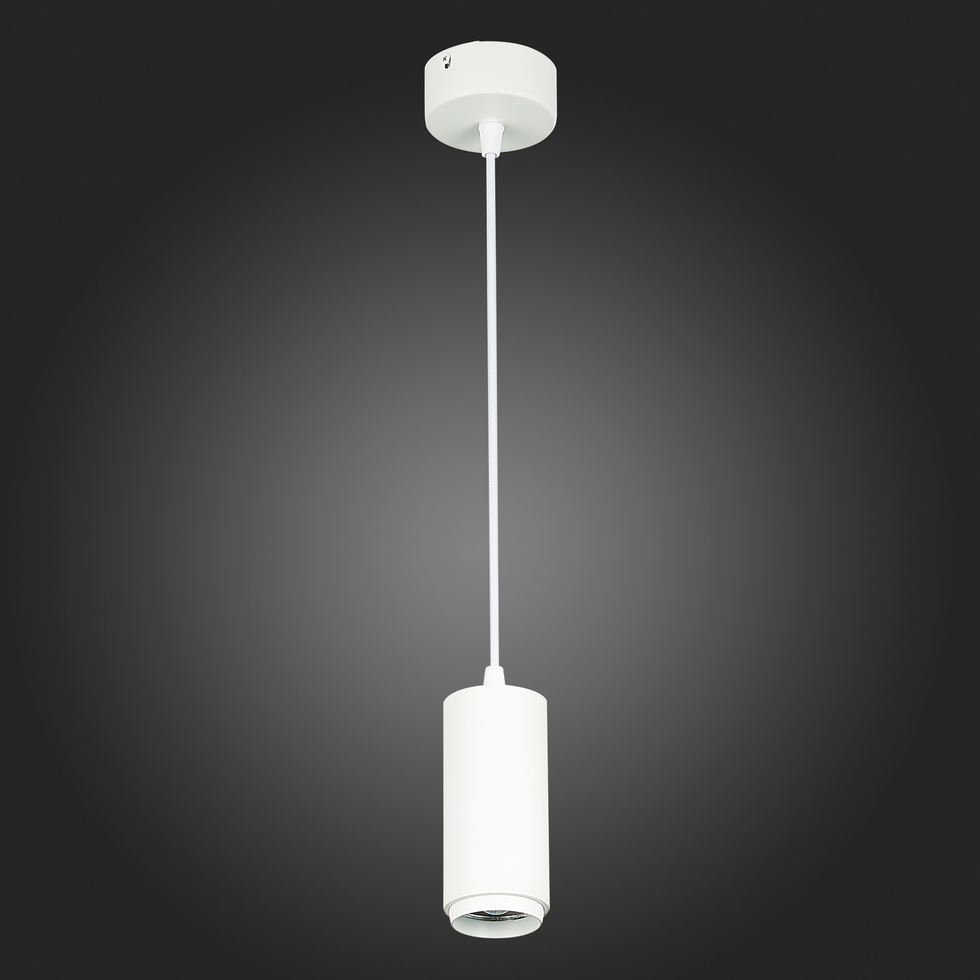 ST600.533.10 Светильник подвесной Zoom Белый LED 1*10W 3000K 1 000Lm Ra>80 15-60° IP20 D59xH130 170- Подвесные светильники