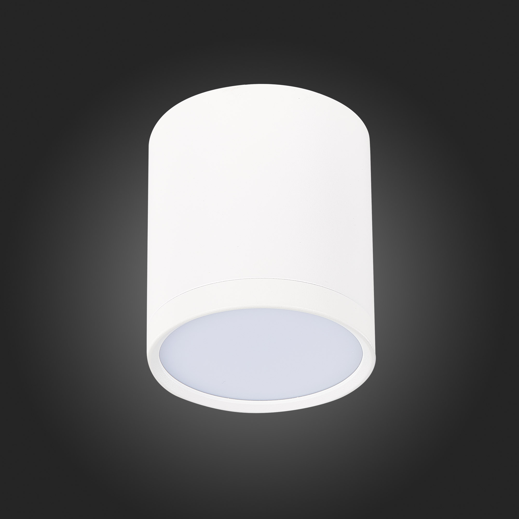 ST113.532.05 Светильник потолочный Белый LED 1*5W 3000K 390Lm Ra>90 120° IP20 D68xH75 170-240V Накладные светильники