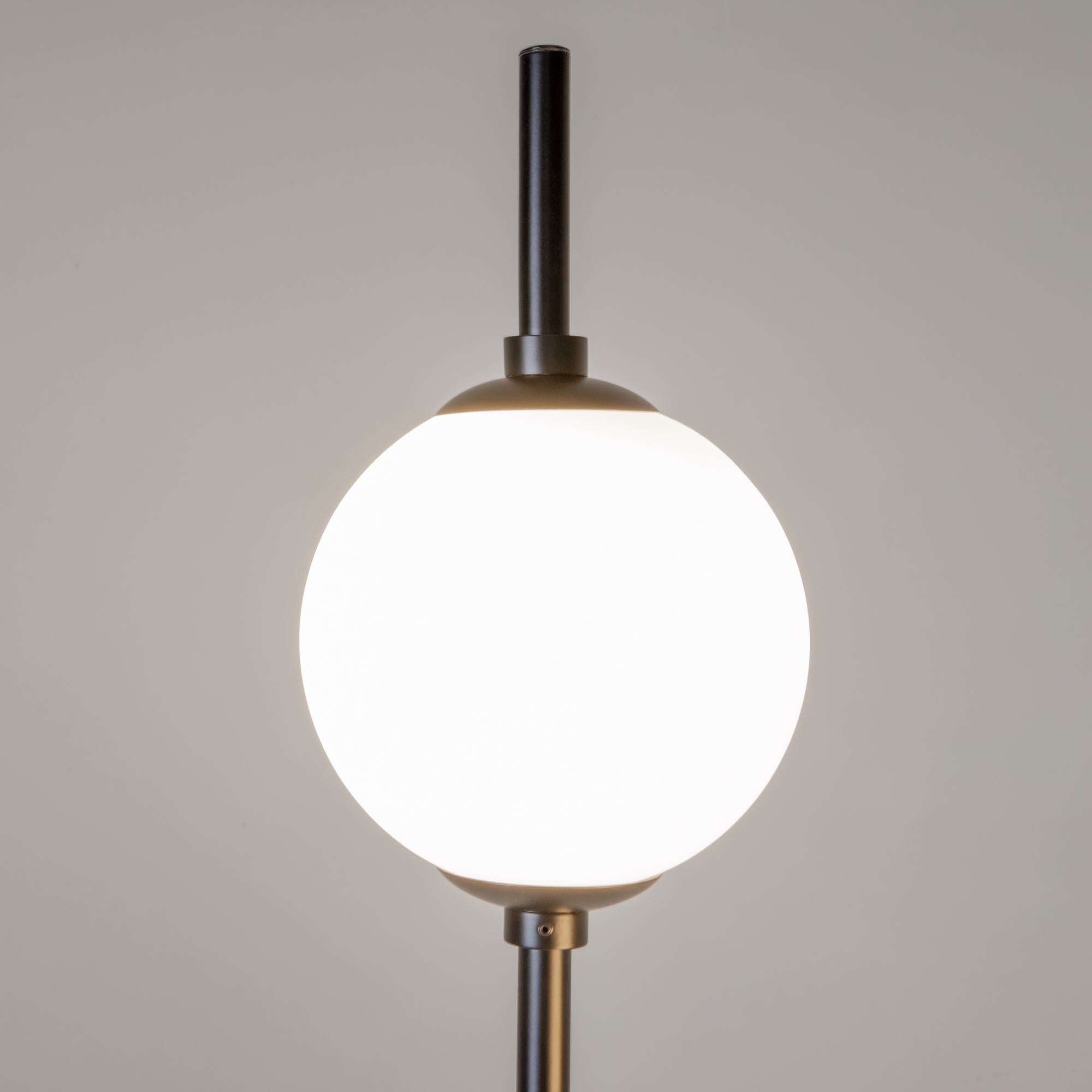 Напольный светильник (торшер) Maytoni Z020FL-L12BK