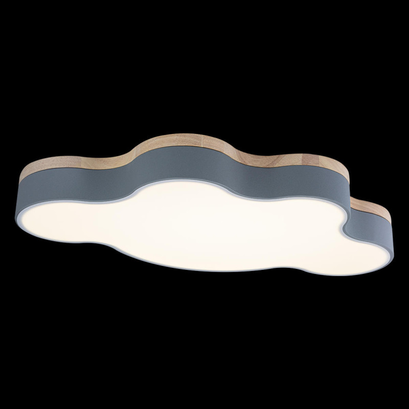 Потолочный детский светильник LOFT IT 10005/36 Grey