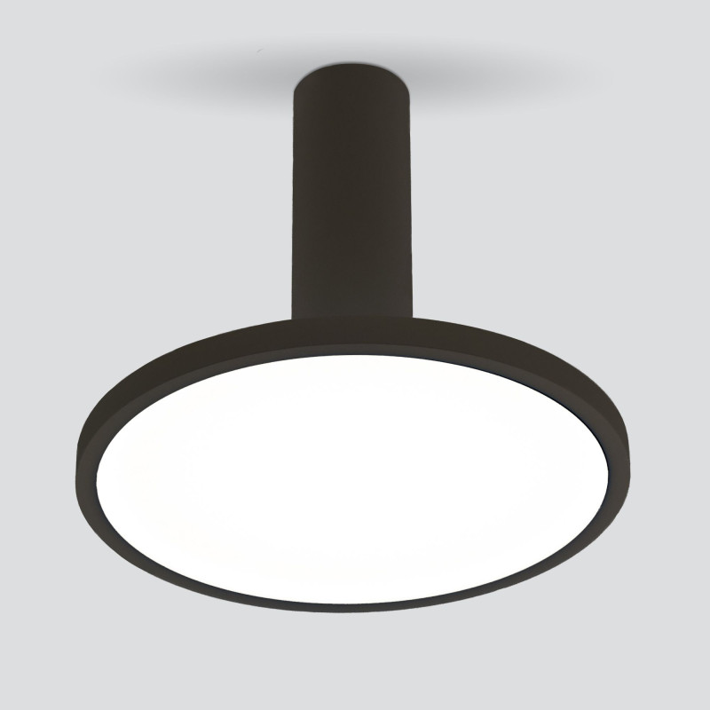 Накладной светильник Elektrostandard DLS029 12W 4200K черный матовый