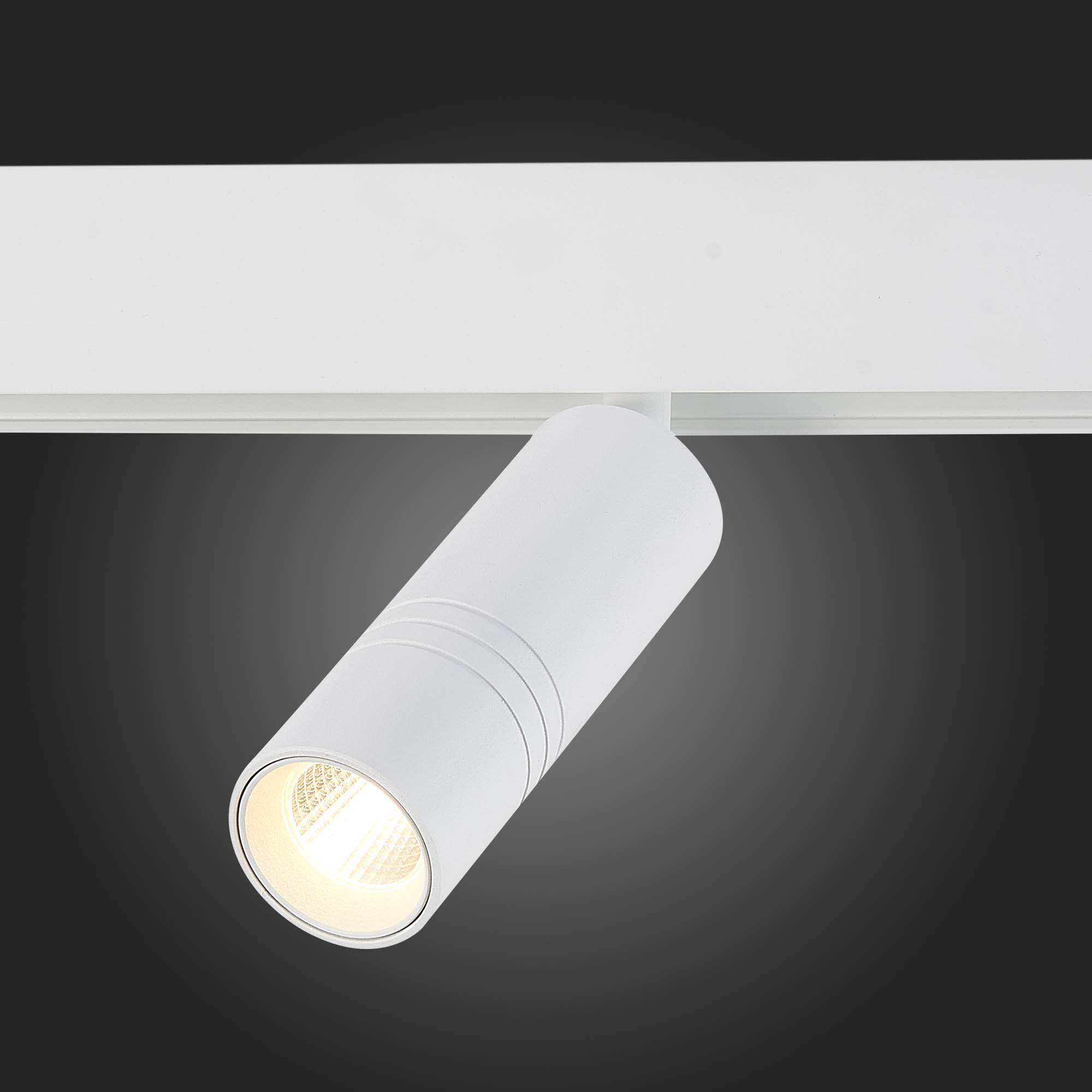 ST365.536.12 Магнитный трековый светильник белый LED 1*12W 3000K 1 020Lm Ra>90 36° IP20 L-xW44xH130 SKYLINE 48
