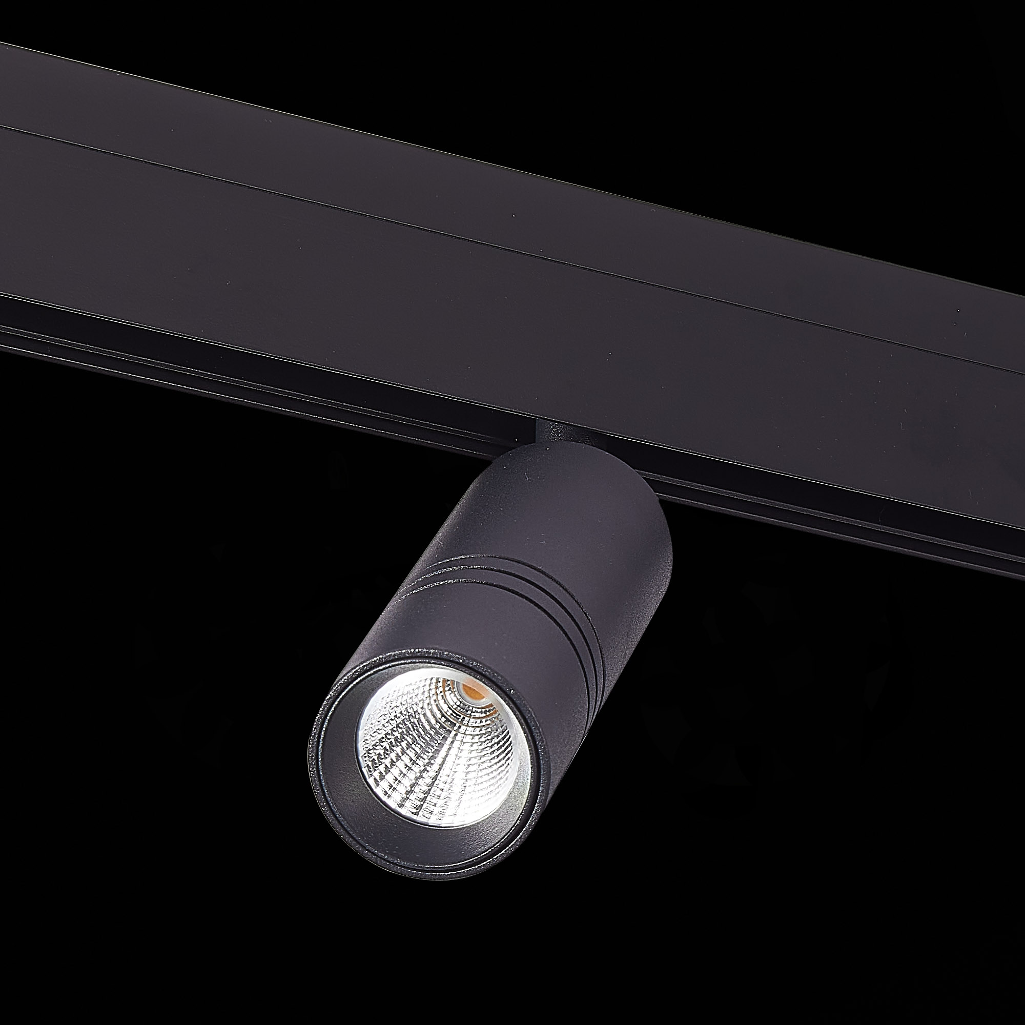 ST365.446.12 Магнитный трековый светильник Черный LED 1*12W 4000K 1 020Lm Ra>90 36° IP20 D44xH130 48 SKYLINE 48