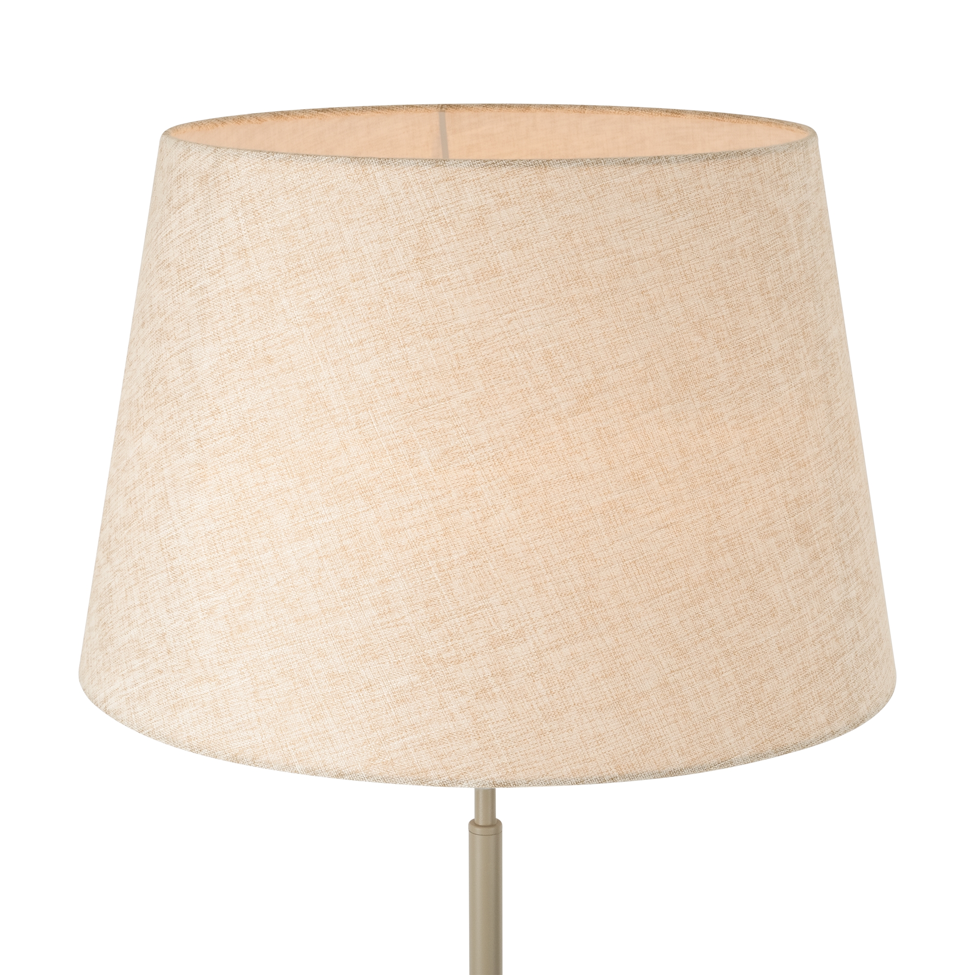 Напольный светильник (торшер) Freya FR2057FL-01BG