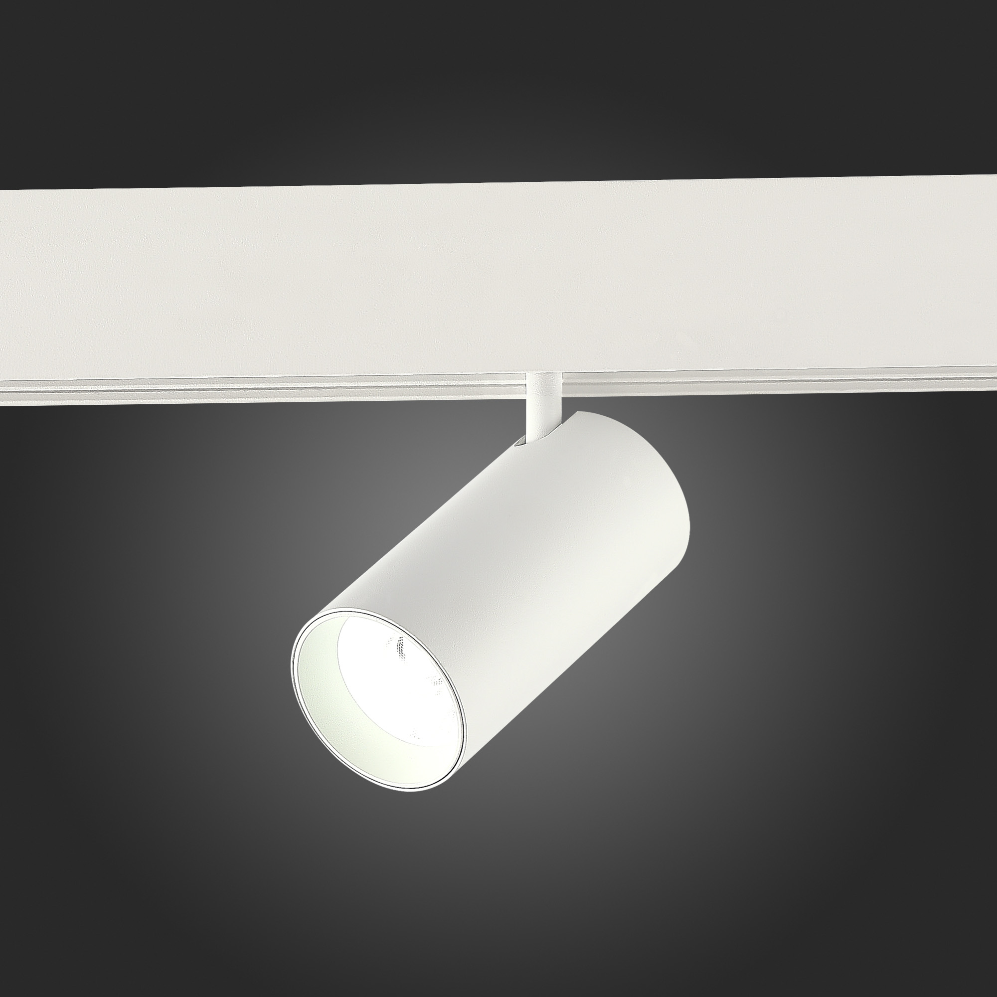 ST375.506.20 Магнитный трековый светильник SMART Белый LED 1*20W 2700K-6500K 1 800Lm Ra90 36° IP20 L SKYLINE 48