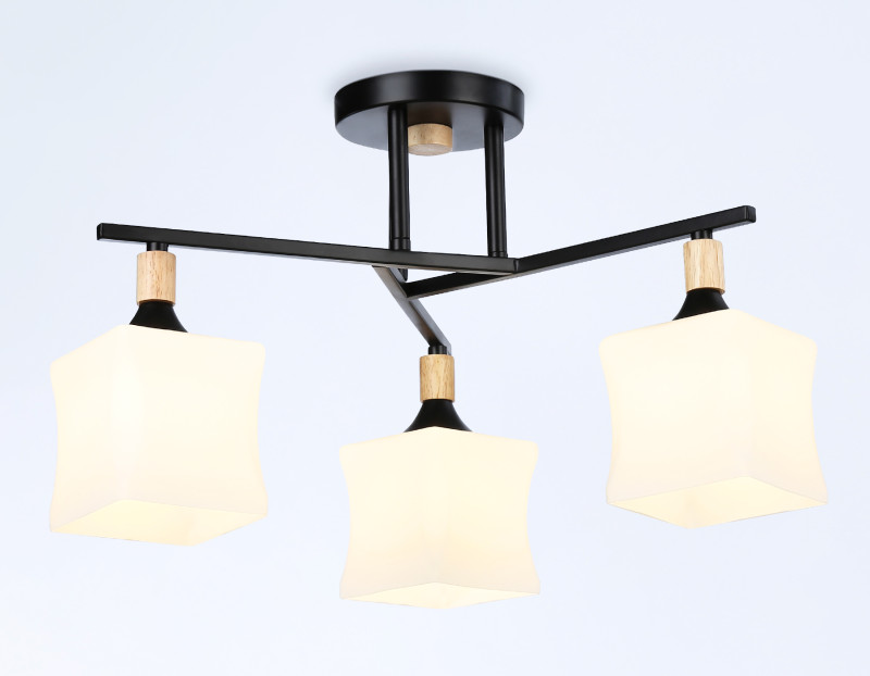 Накладной светильник Ambrella Light TR9493
