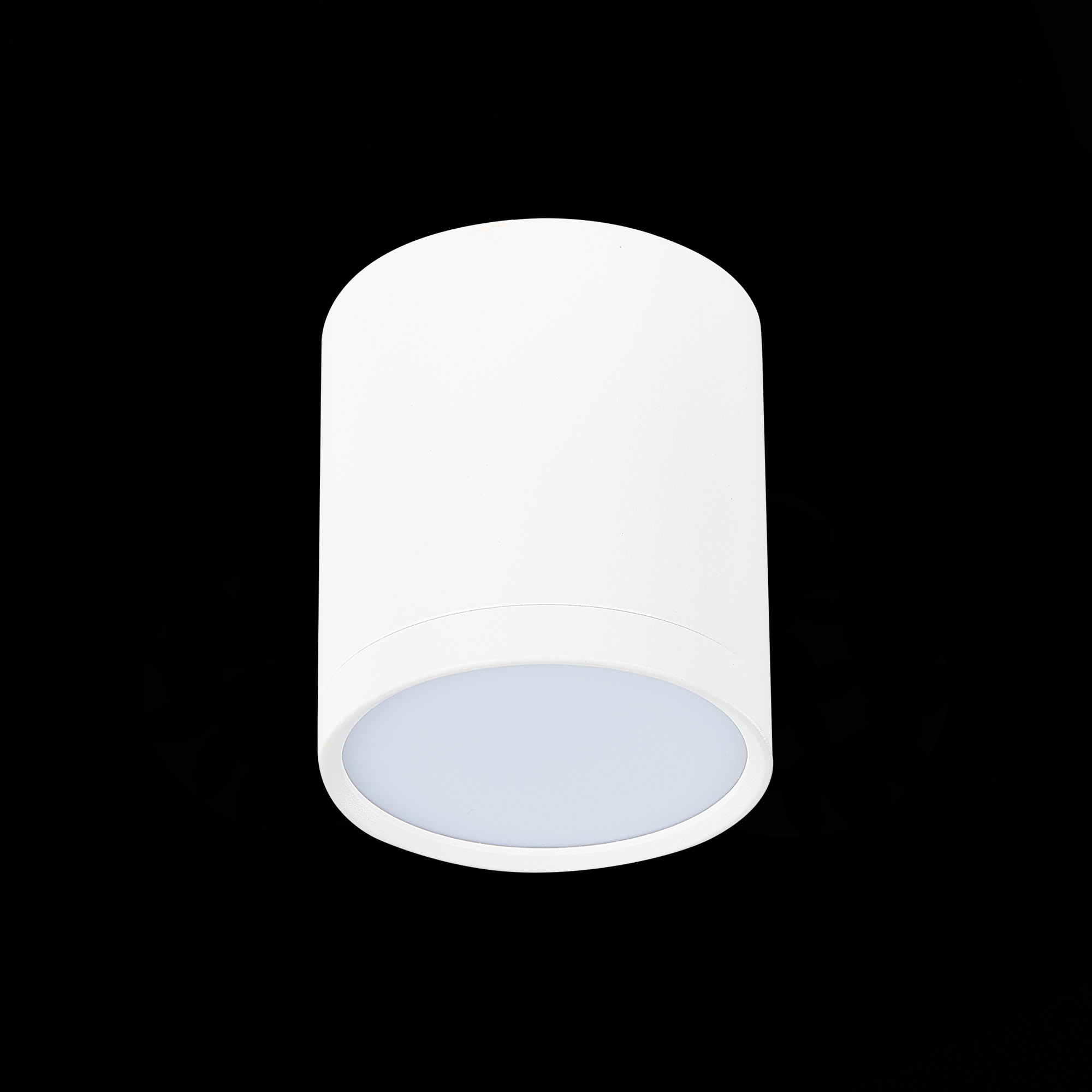 ST113.542.05 Светильник потолочный Белый LED 1*5W 4000K 390Lm Ra>90 120° IP20 D68xH75 170-240V Накладные светильники