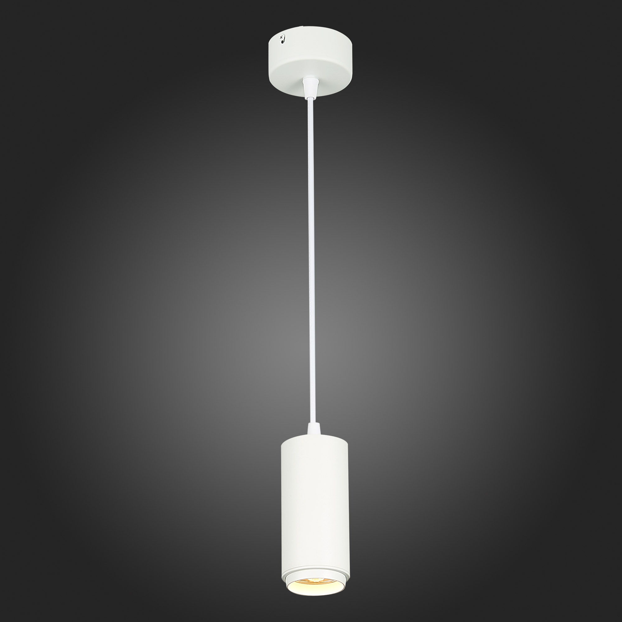 ST600.533.10 Светильник подвесной Zoom Белый LED 1*10W 3000K 1 000Lm Ra>80 15-60° IP20 D59xH130 170- Подвесные светильники