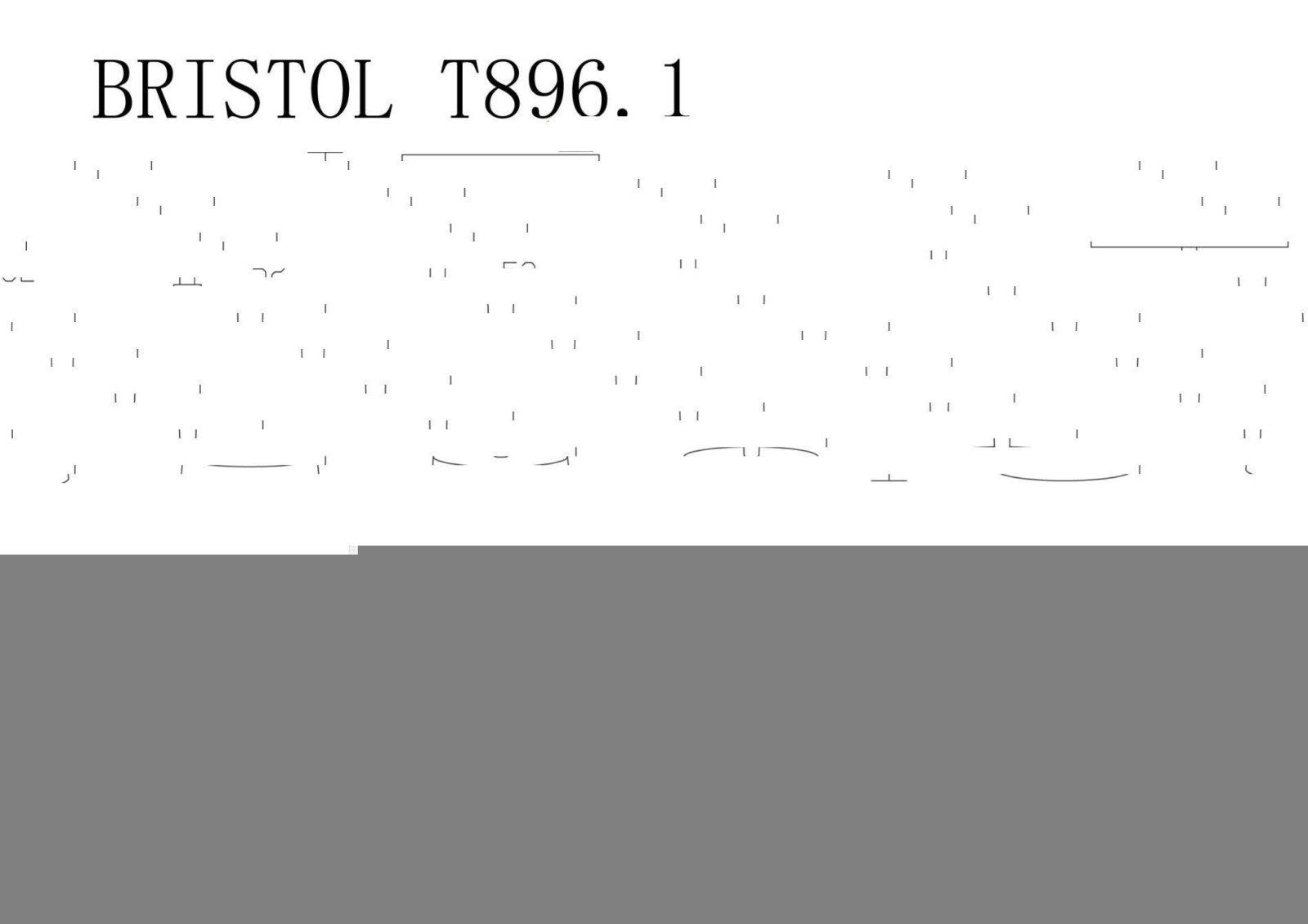 Lucia Tucci BRISTOL T896.1