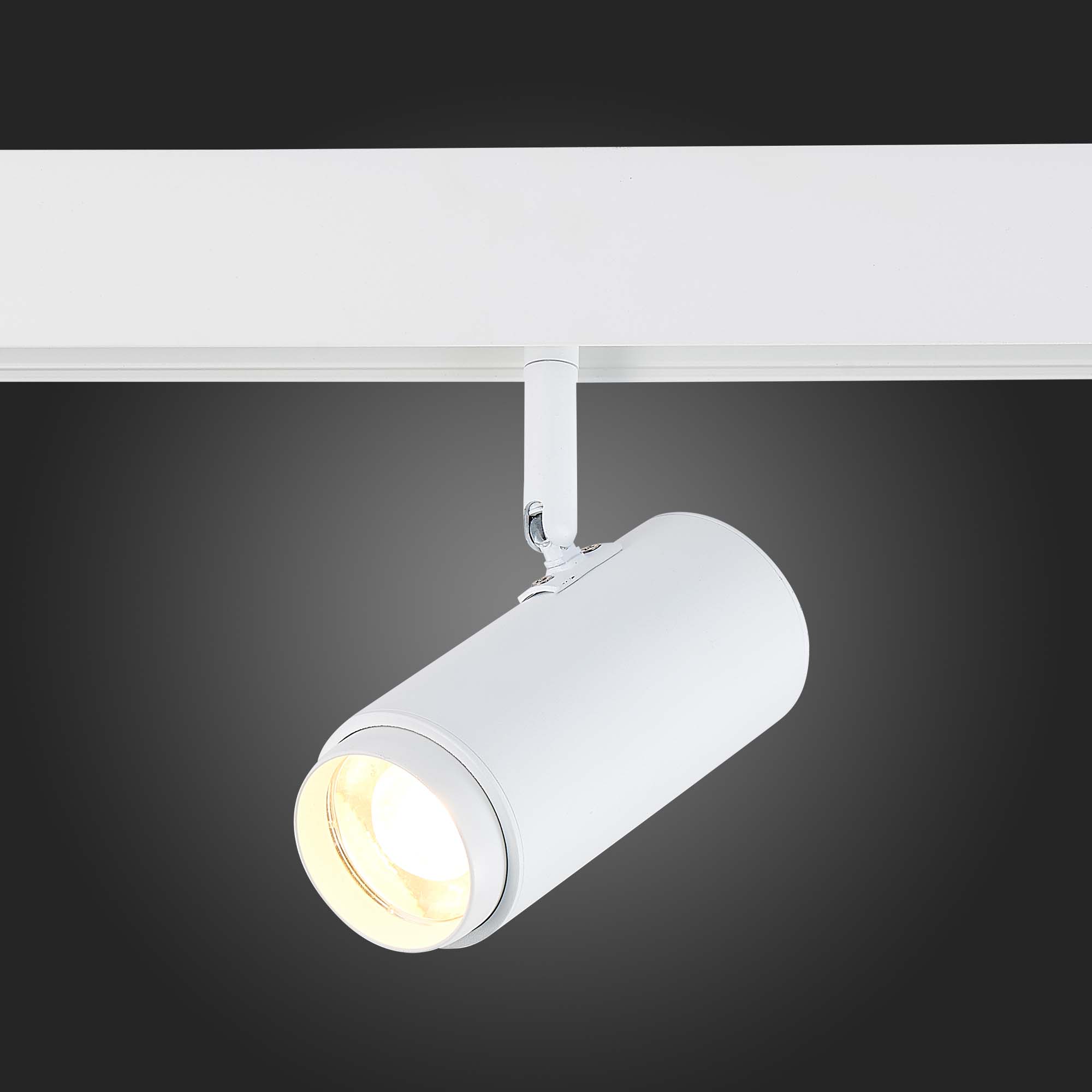 ST357.546.06 Магнитный трековый светильник ZOOM Белый LED 1*6W 4000K 667Lm Ra>80 10-60° IP20 L137xW5 SKYLINE 48