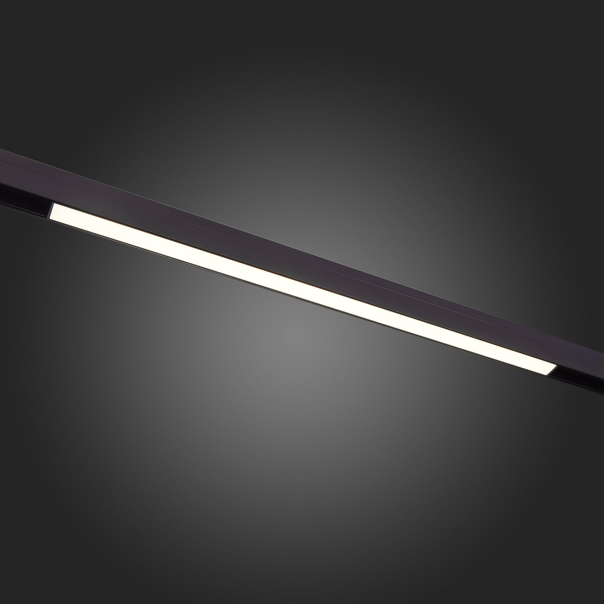 ST360.446.20 Магнитный трековый светильник Черный LED 1*20W 4000K 1 300Lm Ra>90 120 IP20 L606xW22xH4 SKYLINE 48
