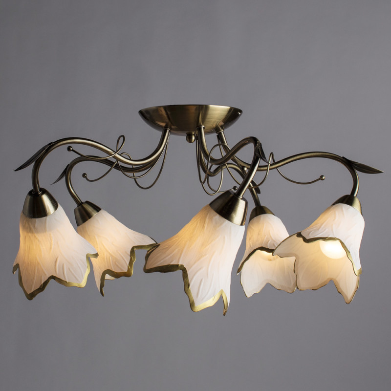 Накладная люстра ARTE Lamp A6066PL-5AB