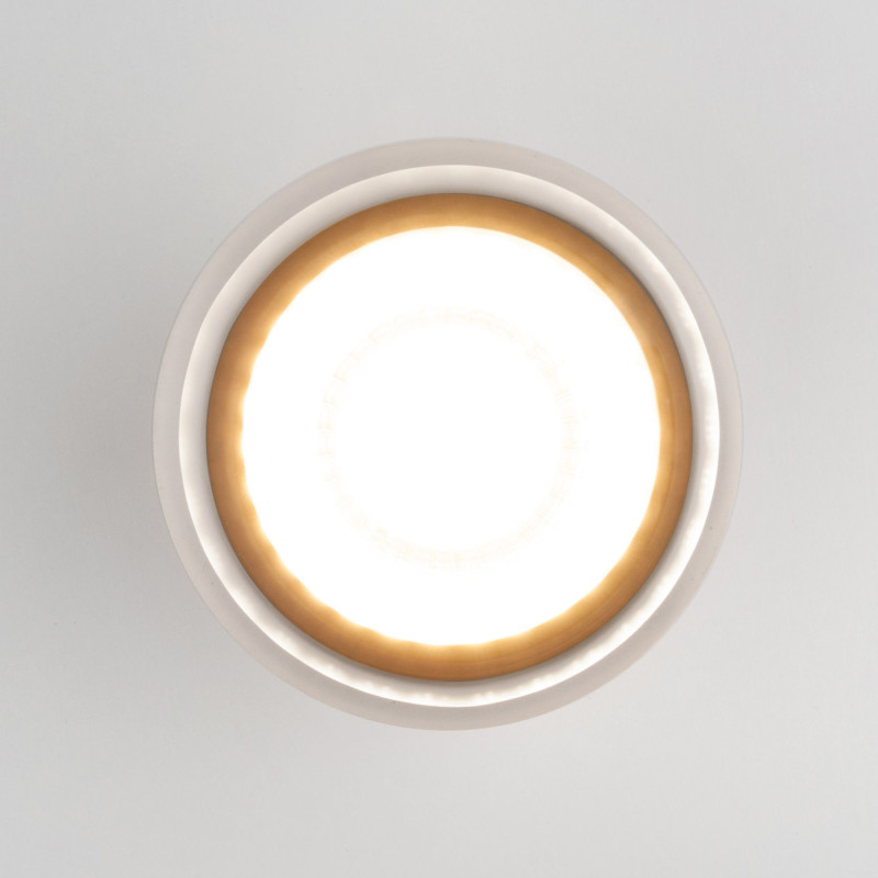 Накладной уличный светильник Elektrostandard Light LED 2107 (35140/H) черный