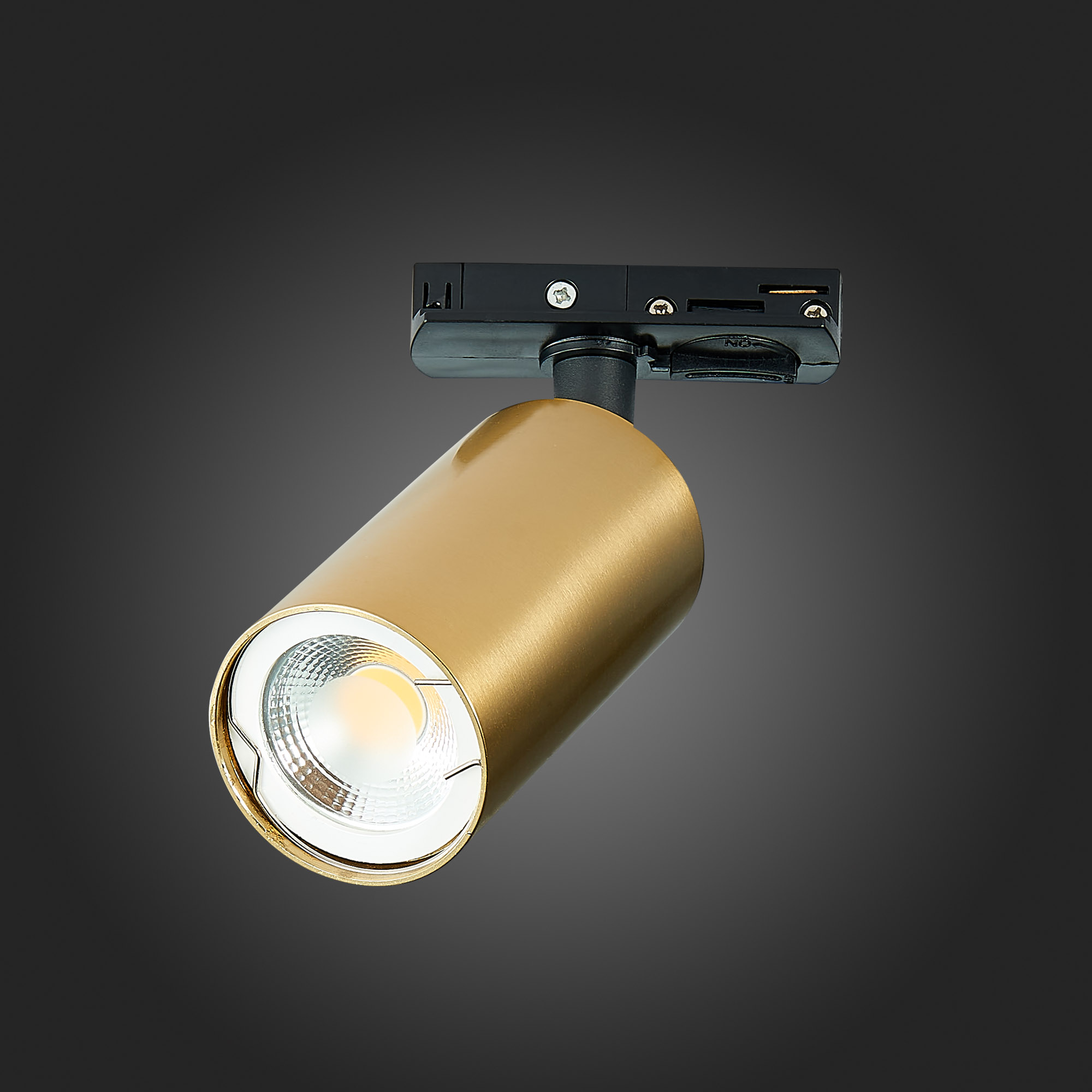 ST300.206.01 Св-к трек. Золотистый GU10 1*50W  IP20 L100xW54xH142 220V Без ламп BASE