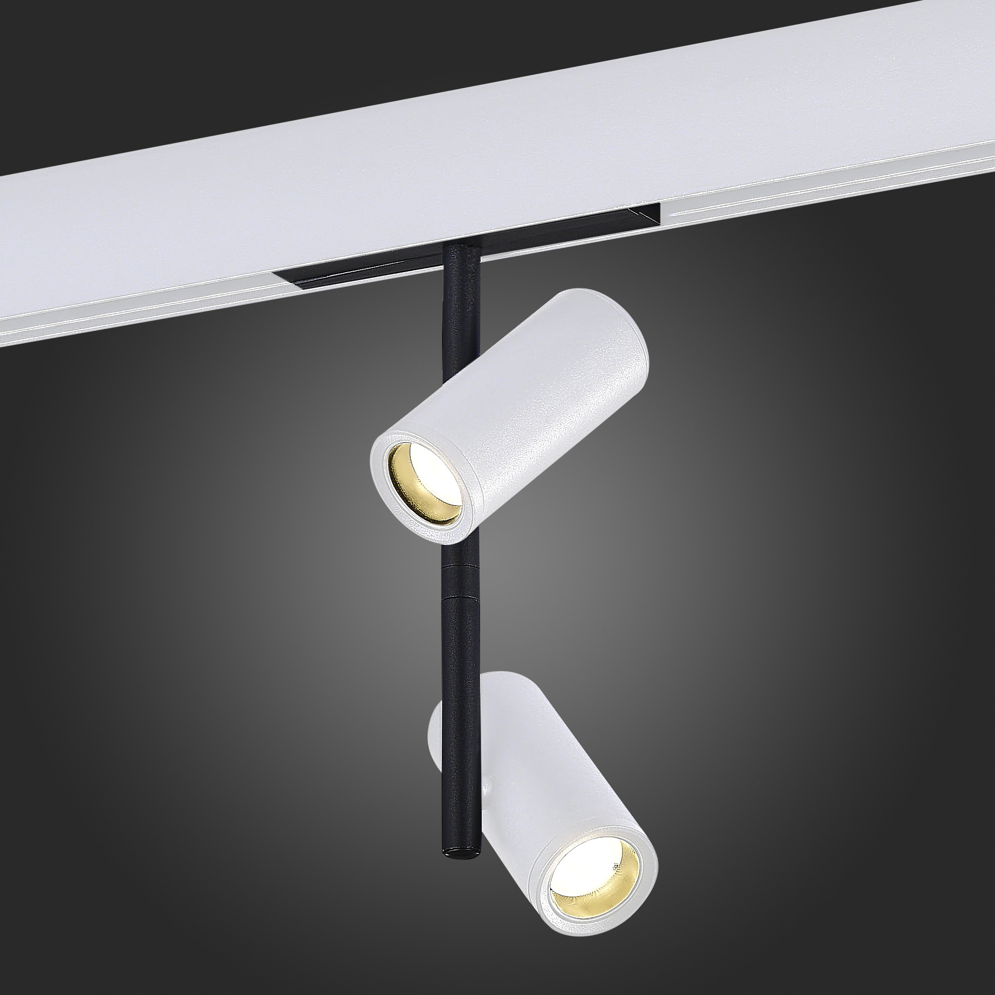 ST808.536.16 Магнитный трековый светильник Белый LED 1*16W 3000K 1 100Lm Ra>90 36° IP20 D45xH240 48V SKYLINE 48